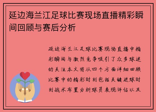 延边海兰江足球比赛现场直播精彩瞬间回顾与赛后分析